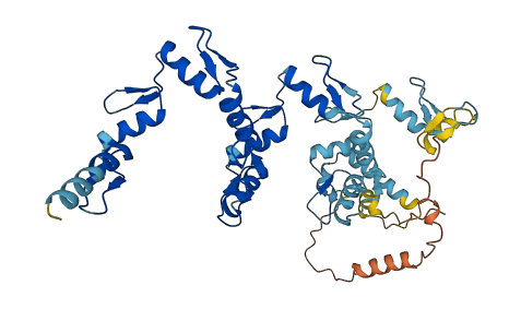 ZNF25 3D structure