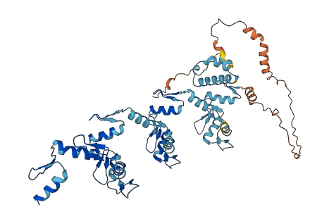 ZNF26 3D structure