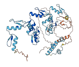 ZNF37A 3D structure