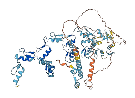 ZNF28 3D structure