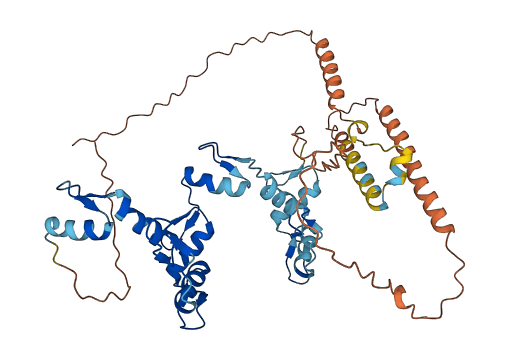 ZNF3 3D structure