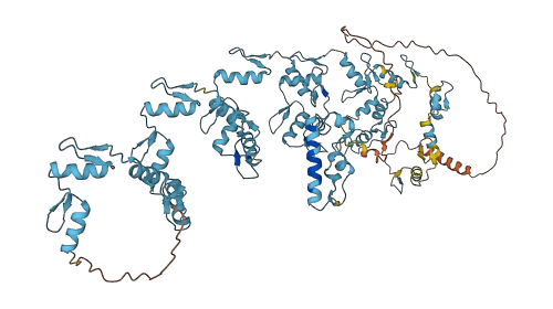 ZNF43 3D structure