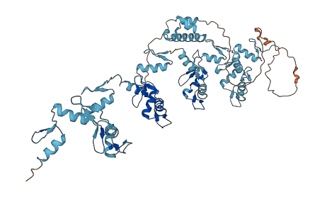 ZNF30 3D structure