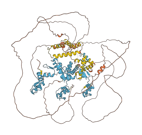 ZSCAN20 3D structure