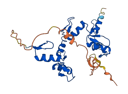 ZNF32 3D structure