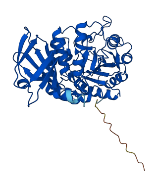 NAGA 3D structure