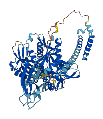 HSPA6 3D structure