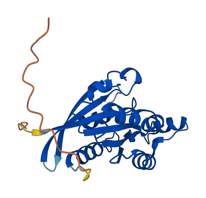 RHOQ 3D structure
