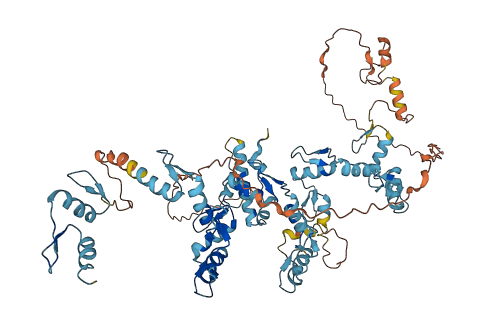 ZNF7 3D structure