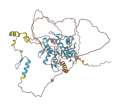 ZNF8 3D structure