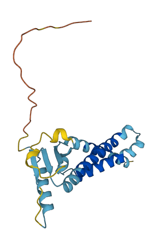 TMEM11 3D structure