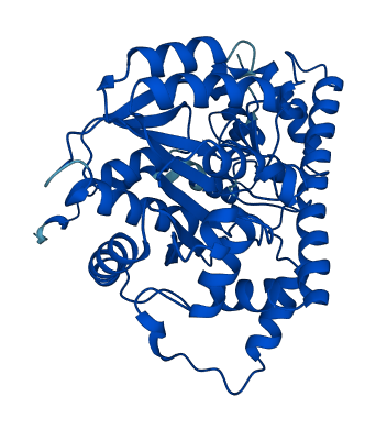 GOT1 3D structure