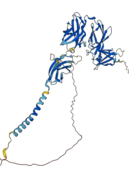 IFNAR1 3D structure
