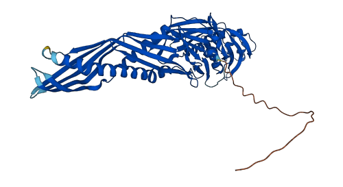 BPI 3D structure