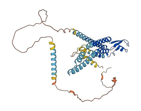 GJA1 3D structure