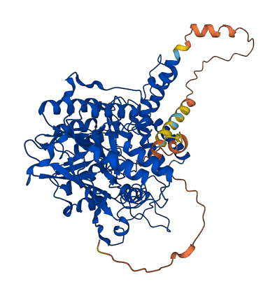 SMPD1 3D structure