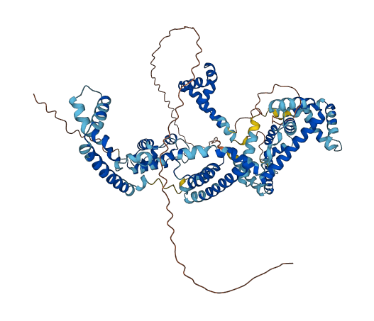 UBTF 3D structure