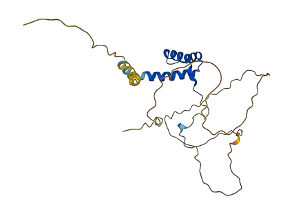 HOXB8 3D structure