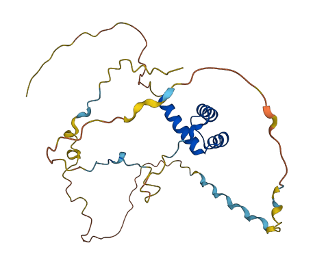 HOXB4 3D structure