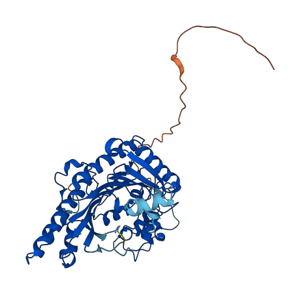 CKMT2 3D structure