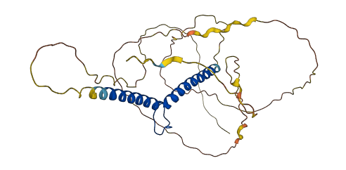 TAL1 3D structure