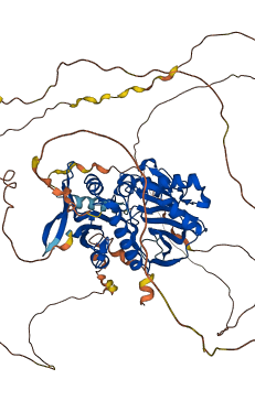 SYN1 3D structure