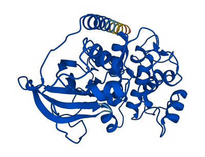 PRKACA 3D structure