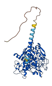 TYRP1 3D structure