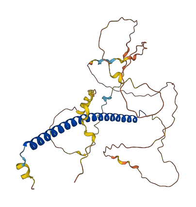 CEBPB 3D structure