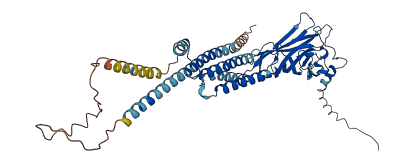 CHRNB2 3D structure