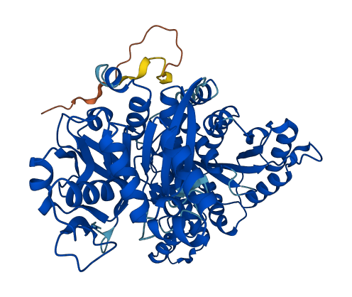 CTPS1 3D structure