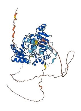 DDX5 3D structure
