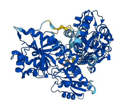 PFKL 3D structure