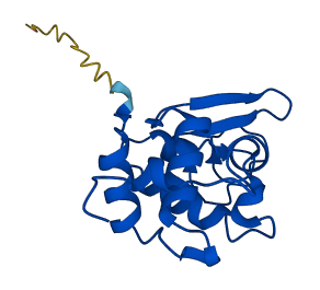 Lyz1 3D structure