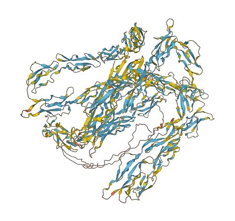 CR1 3D structure