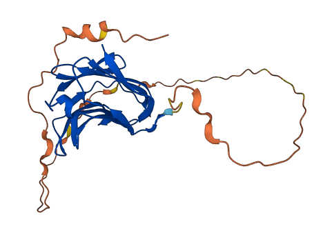 LGALS3 3D structure