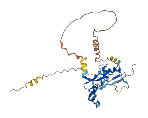 IGFBP3 3D structure