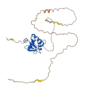 SPI1 3D structure