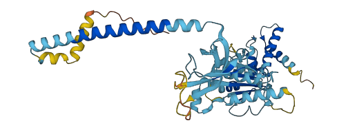 PSMC3 3D structure