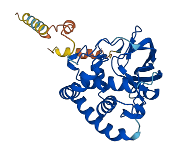Art2a 3D structure