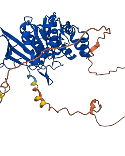 PTPN1 3D structure