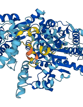 ERCC2 3D structure