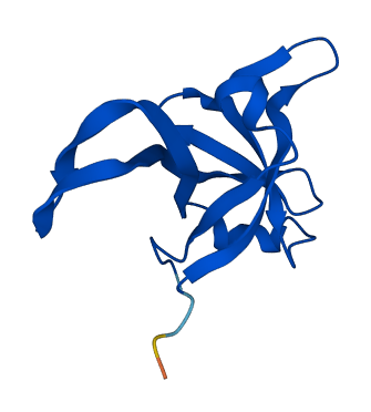 RPL35A 3D structure