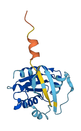 ARF4 3D structure