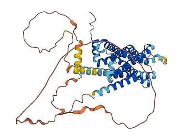 ADRA2B 3D structure