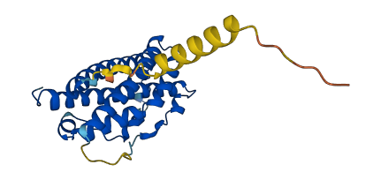Prl3d1 3D structure