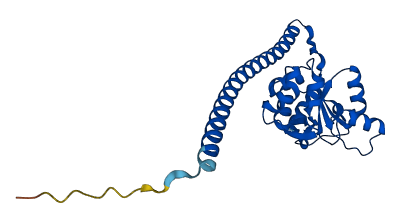 RPL7 3D structure