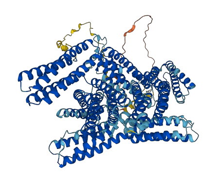 VCL 3D structure