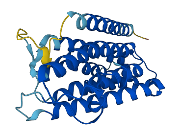 SRD5A1 3D structure