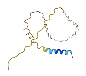 Svs4 3D structure